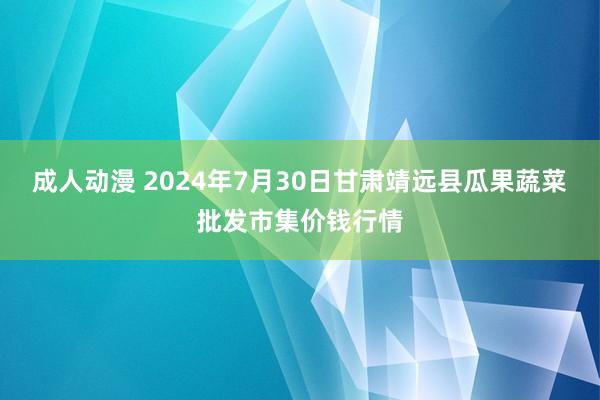 成人动漫 2024年7月30日甘肃靖远县瓜果蔬菜批发市集价钱行情