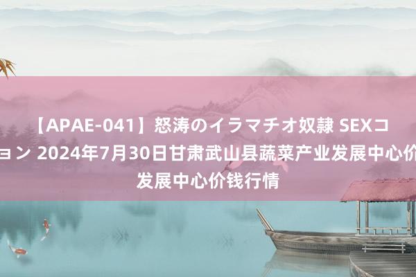 【APAE-041】怒涛のイラマチオ奴隷 SEXコレクション 2024年7月30日甘肃武山县蔬菜产业发展中心价钱行情