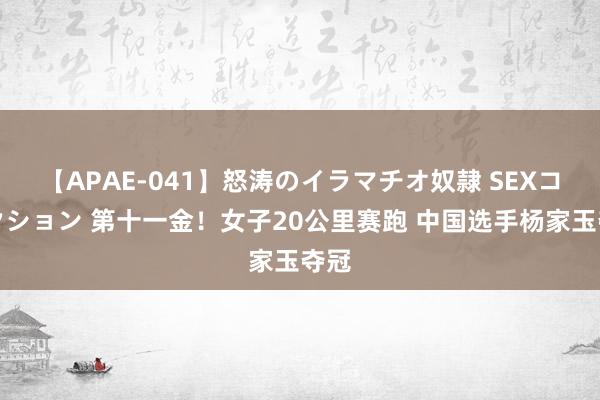 【APAE-041】怒涛のイラマチオ奴隷 SEXコレクション 第十一金！女子20公里赛跑 中国选手杨家玉夺冠