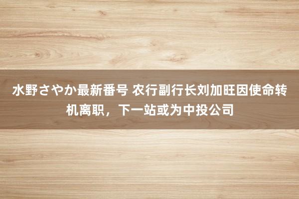 水野さやか最新番号 农行副行长刘加旺因使命转机离职，下一站或为中投公司