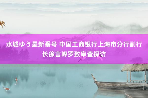 水城ゆう最新番号 中国工商银行上海市分行副行长徐言峰罗致审查探访