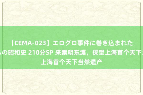 【CEMA-023】エログロ事件に巻き込まれた 人妻たちの昭和史 210分SP 来崇明东滩，探望上海首个天下当然遗产