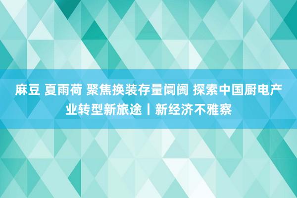 麻豆 夏雨荷 聚焦换装存量阛阓 探索中国厨电产业转型新旅途丨新经济不雅察