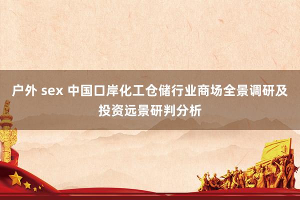 户外 sex 中国口岸化工仓储行业商场全景调研及投资远景研判分析