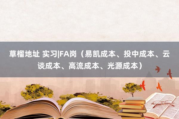 草榴地址 实习|FA岗（易凯成本、投中成本、云谈成本、高流成本、光源成本）