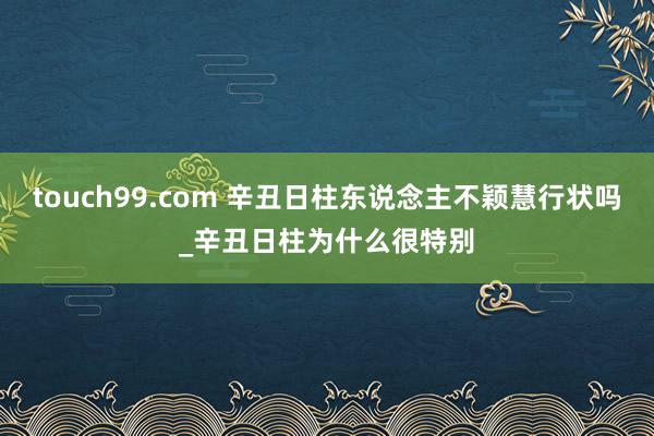 touch99.com 辛丑日柱东说念主不颖慧行状吗_辛丑日柱为什么很特别