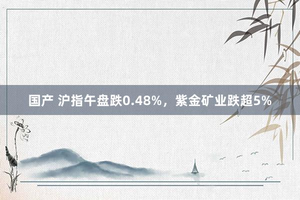 国产 沪指午盘跌0.48%，紫金矿业跌超5%