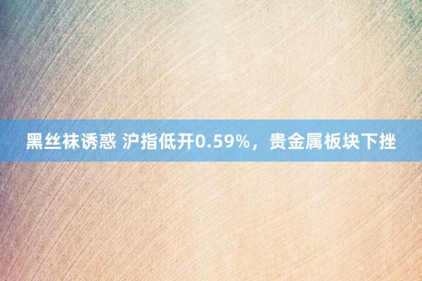 黑丝袜诱惑 沪指低开0.59%，贵金属板块下挫