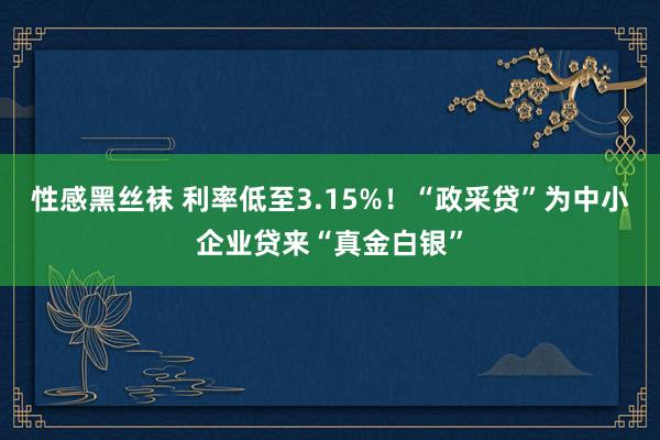 性感黑丝袜 利率低至3.15%！“政采贷”为中小企业贷来“真金白银”